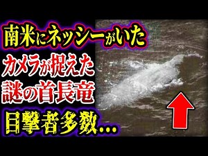 【ゆっくり解説】「最新映像」南米にネッシー出現…!! カメラが捉えた巨大生物実在の証拠…目撃証言が多発している怪物の正体がヤバい…!!!【UMA・未確認生物】