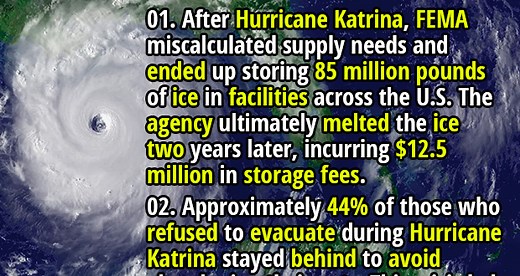 Nature’s Wrath: 50 Devastating Facts About Hurricanes - Fact Republic