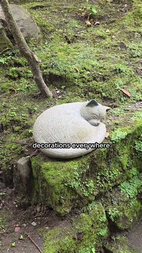 S1E18. I saw Japan’s Most Active Volcano | Day 17