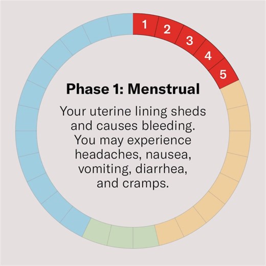 1.4K views · 71 reactions | Did you know the four phases of your menstrual cycle can each impact your overall health? #NYPColumbia OB-GYN Dr. Hoosna Haque explains how knowing your cycle can help you improve your mood, boost energy, and manage hormone-related symptoms like headaches and cramping to feel your best in every phase. Tap to learn more: https://nyphosp.co/3ygAGzw | NewYork-Presbyterian Hospital | Facebook