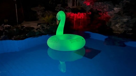 Watch Solar Powered Inflatable Swan Pool Float with Colorful Light on Amazon Live