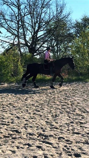 Je monte mon cheval en licol