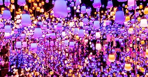 TeamLab Borderless: A visitor’s guide to Tokyo’s new jaw-dropping interactive light museum