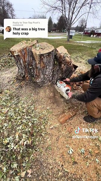 Impressive Tree Stump Grinding Process by Dakota Logger