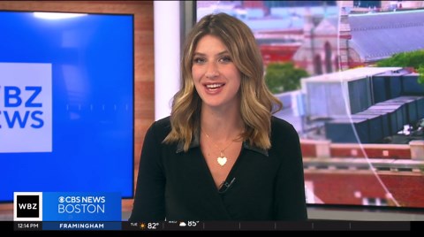 Gilbert the Party Pig and his friends travel to events around New England