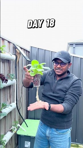 18 Days Later… My Off-Grid Hydroponic Wall is Going OFF! 🌿⚡ | DIY with Sam #diy #diywithsam