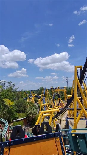 Cobra curse caught me completely off guard not many roller coasters have done that Busch Gardens knew what they were doing with this one. #cobrascurse #buschgardens #buschgardenstampa #rollercoaster #themepark @buschgardens | Anjel Entity