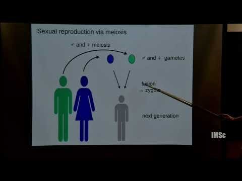 Multivariate challenges in mathematical genetics centered on allelic shuffling by recombin