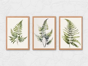 Watercolor Fern Prints, Botanical Print Set, Set of 3, Living Room Wall Decor, Plant Poster, Maidenhair Fern, Home Decor Gift, Bedroom - Etsy