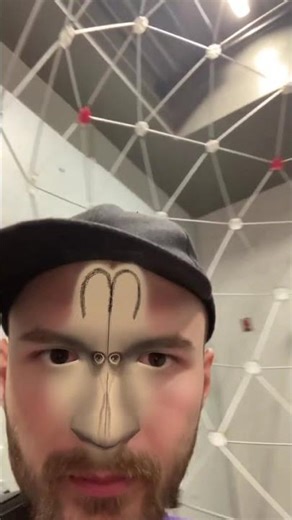 Facial Topology Test | Surreal Symmetry Mapping Experiment