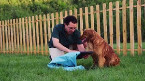 Rywell Dog Pool for Large Dogs, Foldable Pet Wading Pool with Splash Sprinkler, Outdoor Summer Bathtub Heavy Duty for Puppy, Doggie, Cats, Duck -Blue -63 x 12 Inches