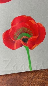 ❤️💯🎨🌿🫶RED POPPY flower painting, using acrylic paints 💯🫶❤️🎉🌿 #flowerpainting #reelsfbviral #RedPoppy #drawing #acrylicart #paintingprocess #red | Zaaris