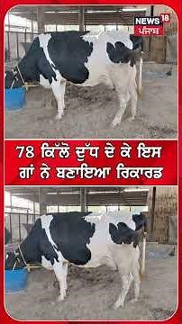 78 ਕਿੱਲੋ ਦੁੱਧ ਦੇ ਕੇ ਇਸ ਗਾਂ ਨੇ ਬਣਾਇਆ ਰਿਕਾਰਡ #shorts |N18S