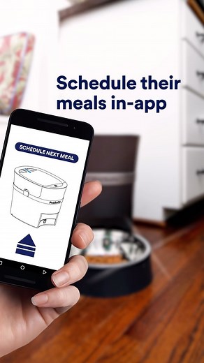 Simplify your pet’s mealtime routine with an automatic feeder. It’s one less thing for you to remember in the morning and the scheduling feature lets you know they’re always fed on time (which you know they’ll love). #dogsofinstagram | Petco