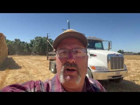 Delivering hay with a Peterbilt stack retriever