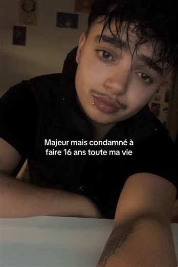 La Vie d'Artiste : Un Voyage Humoristique