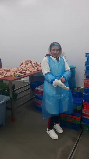 Inside a Food Processing Facility: Meat Handling Practices