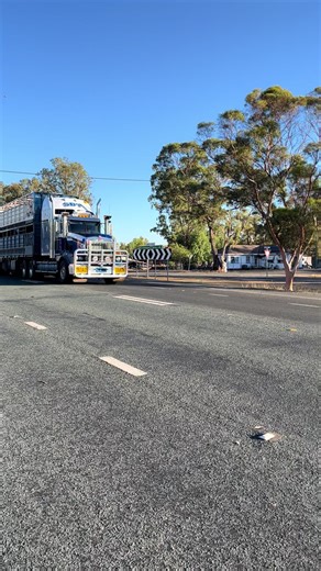 #truckinglife#withouttrucksaustraliastops#transport#viral#fyp