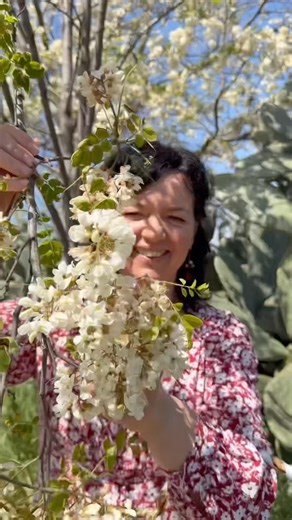 Czy wiedzieliście, że kwiaty można smażyć? 🌸 Did you know you can fry flowers?