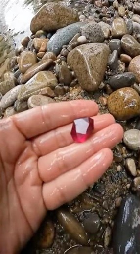 Almost Missed This Red Gem Among the Stones