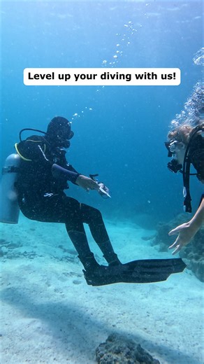 What’s happening here? 👀 Instructor buoyancy vs student buoyancy…until you take your Peak Performance Buoyancy Specialty 🐠✨ - one of the first and most important skills we recommend improving. From ensuring you’re weighted correctly, to learning how to manage buoyancy through a series of exercises and games, and even experimenting with different styles of fin kicking, this course takes your diving to the next level. 💬 Tag a buddy who needs this! 🤭 #scubadiving #diveskills #scubatraining #pea