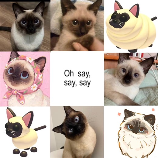 What Version Should I Play Next in Roblox?