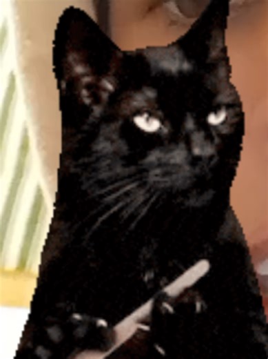 Diana Disa (@happypierrotdiana)’s videos with Reflection - AltairMakin