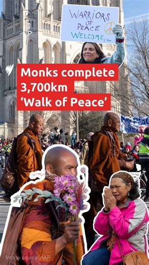 SBS News on Instagram: "After months braving winter temperatures, Buddhist monks arrived in Washington DC, ending their 3,700km 'Walk of Peace'. Hundreds gathered outside Washington National Cathedral to show their support, some waiting hours. The monks' journey began in Texas, crossing nine states to spread messages of unity, compassion and healing. Read more stories @sbsnews_au (link in bio)."
