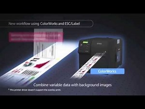 EPSON Color Works C7500 Color Label Printer: Request a Demo 844 556 7300
