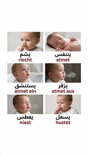 مفردات باللغة الألمانية