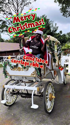 Santa’s sleigh got an upgrade 🎅 Carriage rides here at Gallop.sg TODAY!! ✨🎄 #christmas #fun #family #kids #fyp