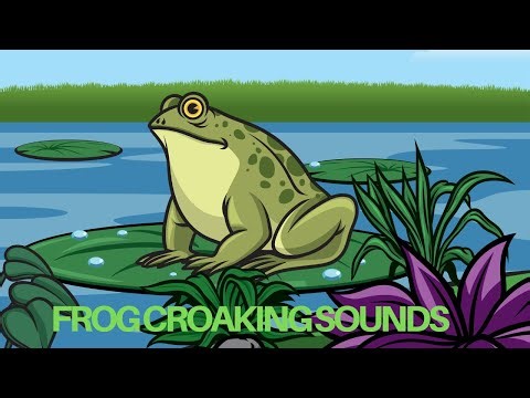Croaking Sounds I Relaxing Nature Audio for Kids. #FrogSounds #Nature