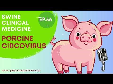 EP 56: Porcine Circovirus Explained | Symptoms, Transmission & Control in Swine | Pet Care Partners