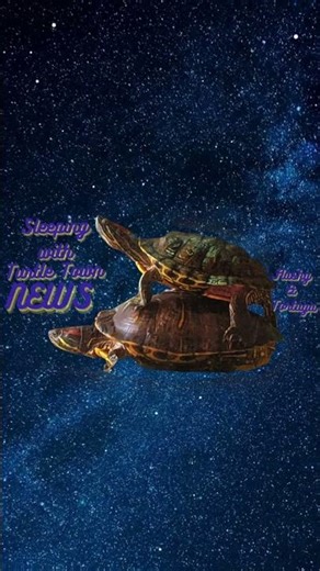 fall asleep with Turtles on our #livestream #432hz #asmr #relaxing