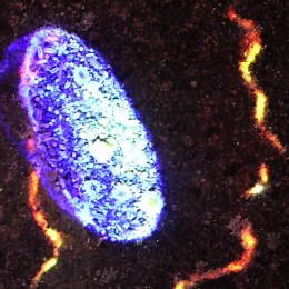 Video: Chad Valley - "Reach Lines" (CoS Premiere)