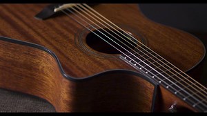 77 reactions · 4 comments | The Breedlove Organic Wildwood Series is...