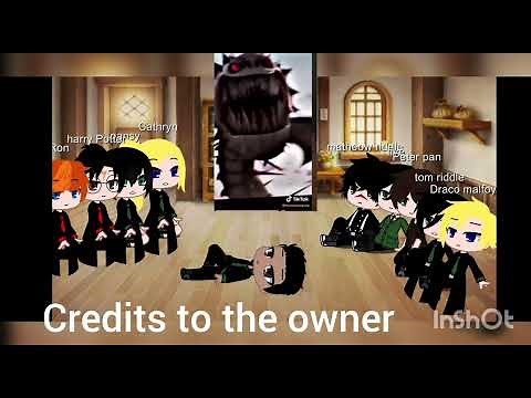 the Slytherin boys from the pov's react to y/n's pets(the pets are some dragons from httyd)