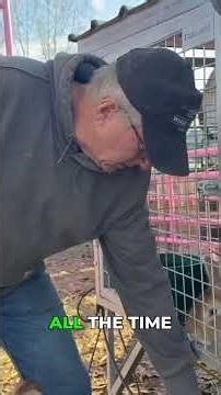 Saving Wendy: Building a Prosthetic Leg for a Goat!