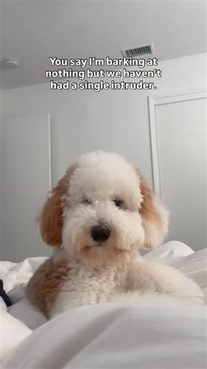 3.7K views · 297 reactions | do the math mom ✨ | hi, i'm mila | Facebook