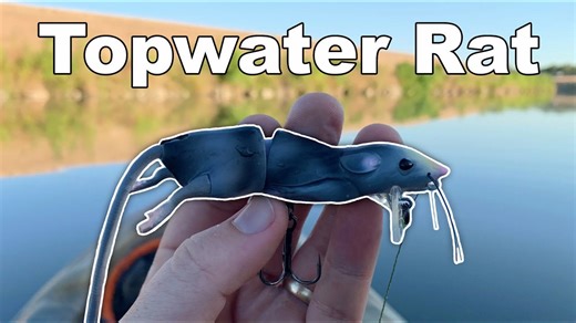 Fishing with a Topwater RAT for Giant River Bass!