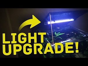 Is This The Perfect Light Upgrade for Your Fluval Flex?