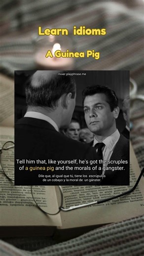 Learn Idiom A Guinea Pig #englishgrammar #idiom #idiomas #learning
