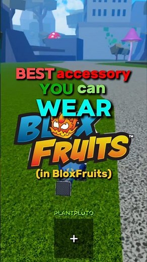 The Best Accessory In BLOX FRUITS 🤫 🔥