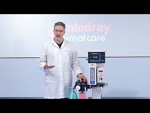 Veta5 training for vet|Safe & intelligent anesthesia machine|User interface