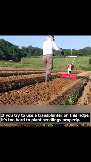 Free Shipping Continues – Shop Now! Still time to save on international delivery. Order today and enjoy free shipping on all eligible items. | Japan Agri Trading