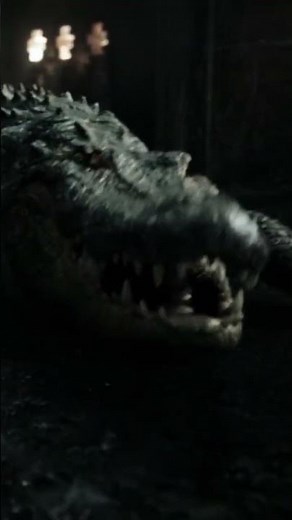 Crawl 2019 - Short Movie Recap