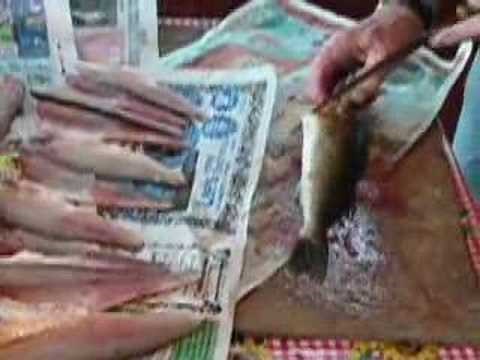 How to Fillet a Pickerel