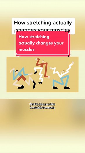 Does stretching actually help prevent injuries? The answer is, it depends. In this TED-Ed lesson, we explore all the finer points of stretching and flexibility. #flexibility #Stretching #sportsinjuries #TEDEd #BodyScience