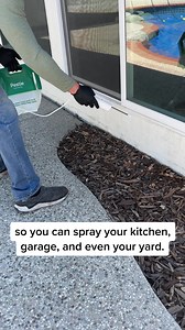 5.2K views | Getting rid of Cockroaches doesn't have to cost you hundreds. Pestie is the DIY, cost-effective solution that only takes minutes to apply! | Pestie | Facebook