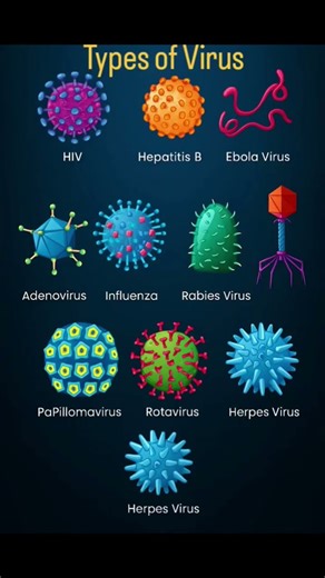 Type Of Virus 🦠